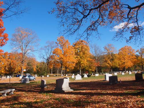 Fall in the graveyard #6