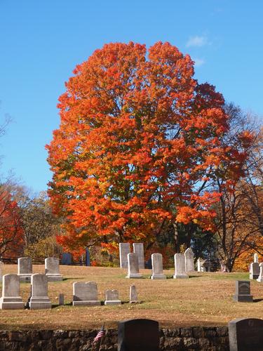 Fall in the graveyard #12