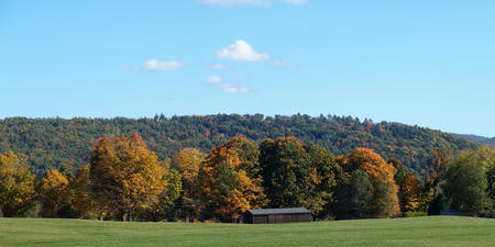 Vermont fall #2