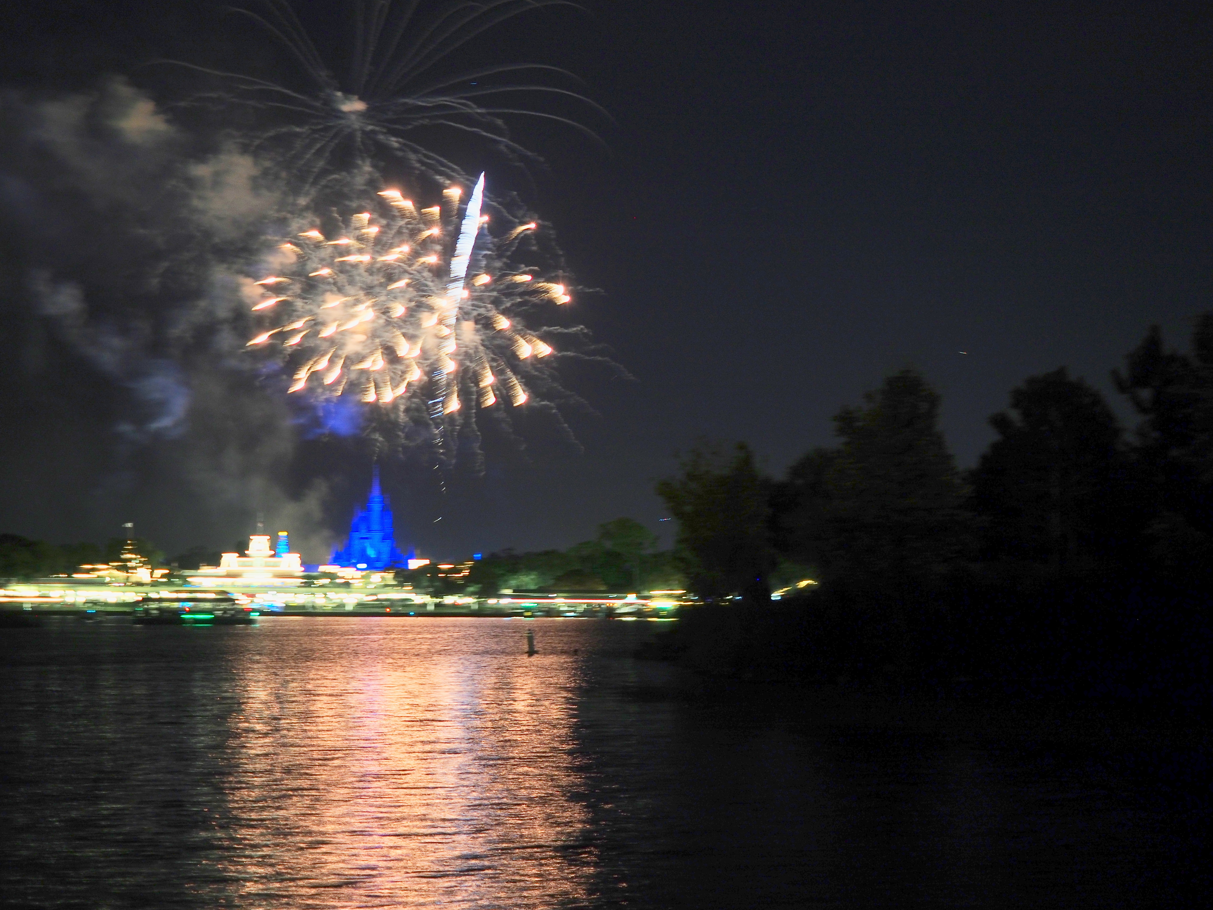 Wishes fireworks (taken from Ferryworks Fireworks Cruise) #6