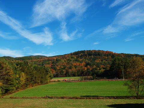 New Hampshire fall #2