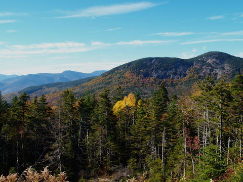 New Hampshire fall #4