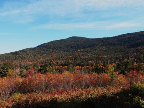 New Hampshire fall #6