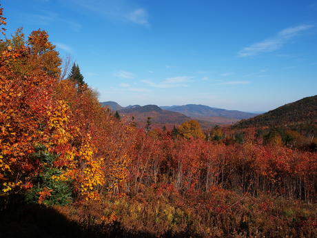 New Hampshire fall #7
