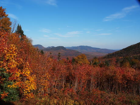 New Hampshire fall #8