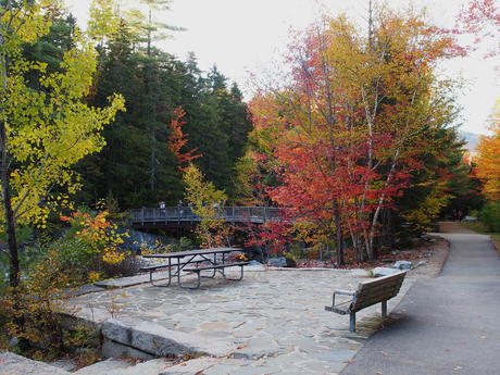 New Hampshire fall #13