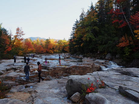 New Hampshire fall #15