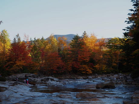 New Hampshire fall #16