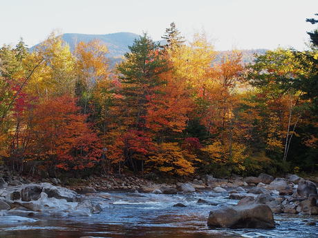 New Hampshire fall #18