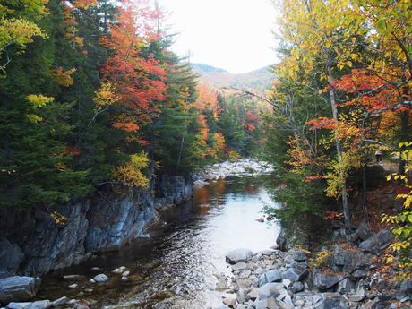 New Hampshire fall #21