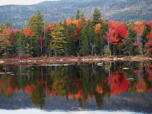Fall on the Kancamagus Scenic Byway #2