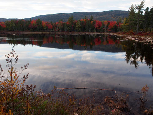 Fall on the Kancamagus Scenic Byway #3