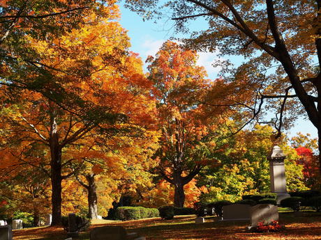 Andover Massachusetts' West Parish Garden Cemetery in fall #5