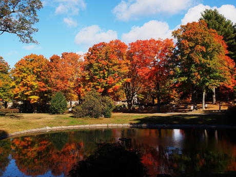 Andover Massachusetts' West Parish Garden Cemetery in fall #7