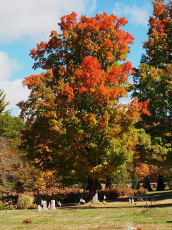Andover Massachusetts' West Parish Garden Cemetery in fall #11
