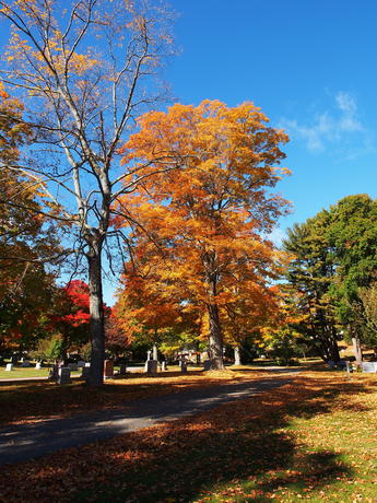 Andover Massachusetts' West Parish Garden Cemetery in fall #12