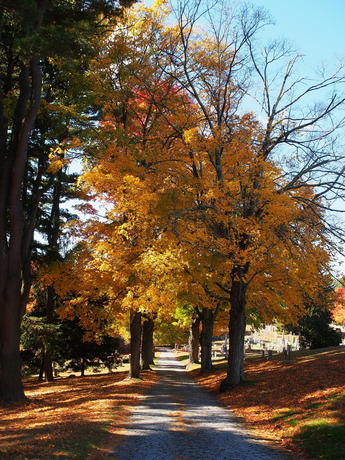 Andover Massachusetts' West Parish Garden Cemetery in fall #15