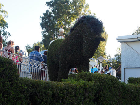 Horse topiary