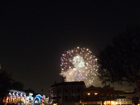 Fireworks #22