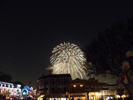 Fireworks #24