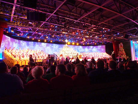 Candlelight processional #5