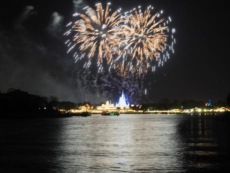 Wishes fireworks (taken from Ferryworks Fireworks Cruise) #18