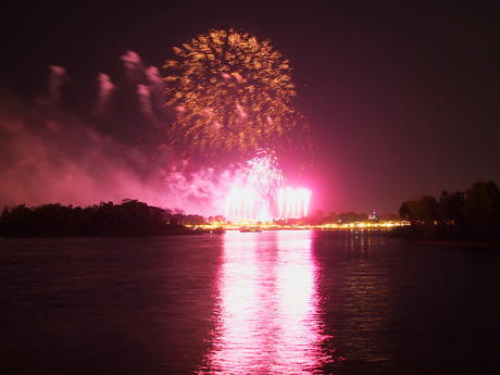 Wishes fireworks (taken from Ferryworks Fireworks Cruise) #20