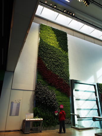 Museum of Science green wall in the new Yawkey Gallery