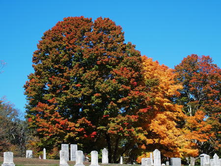 West Parish Cemetery, Anover, MA in fall #7