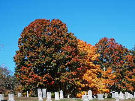 West Parish Cemetery, Anover, MA in fall #9