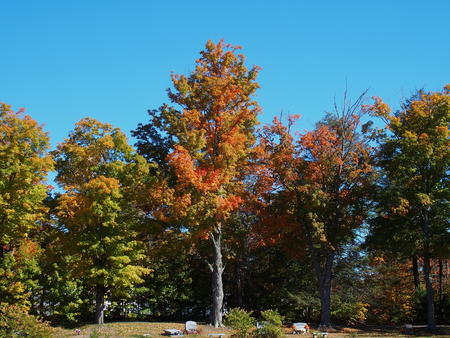West Parish Cemetery, Anover, MA in fall #10