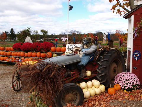 Springdell farm, Littleton, MA in fall