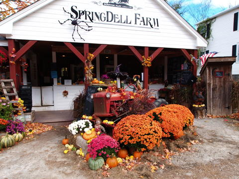 Springdell farm, Littleton, MA in fall #5