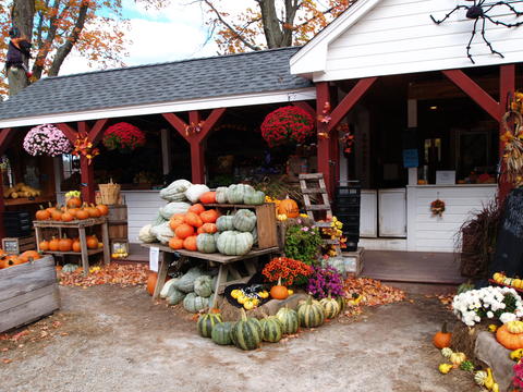 Springdell farm, Littleton, MA in fall #6