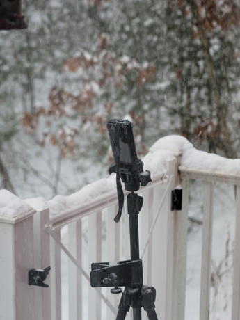 Setup for taking bird feeder pictures