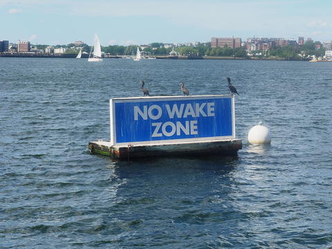 No wake zone