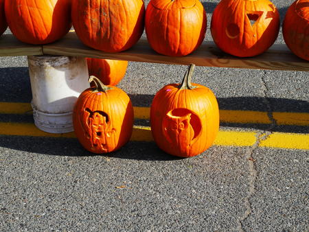 Carved pumpkins #17