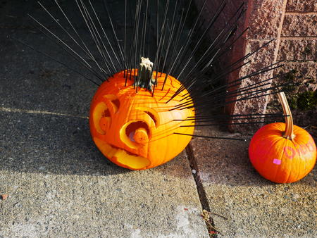 Carved pumpkins #23