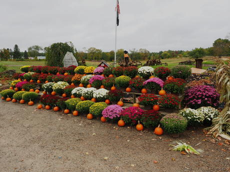 Fall at Springdell Farms, Littleton, Massachusetts #2