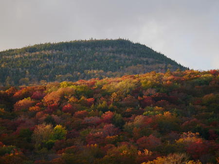 Fall at Loon Mountain #5