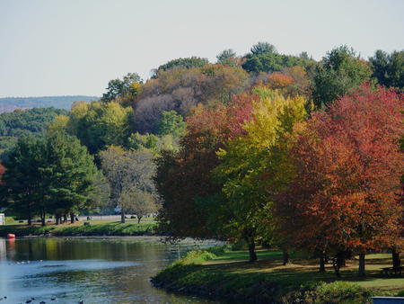 Fall trees in Turner Falls