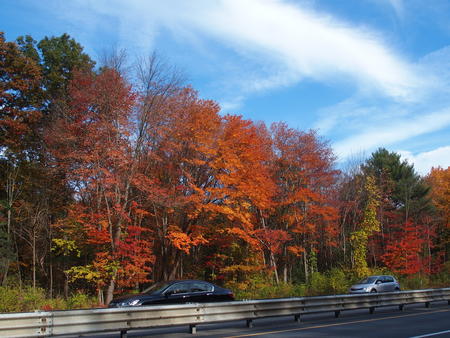 Route 2 fall