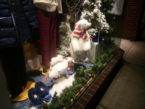 Concord MA Christmas store display #5