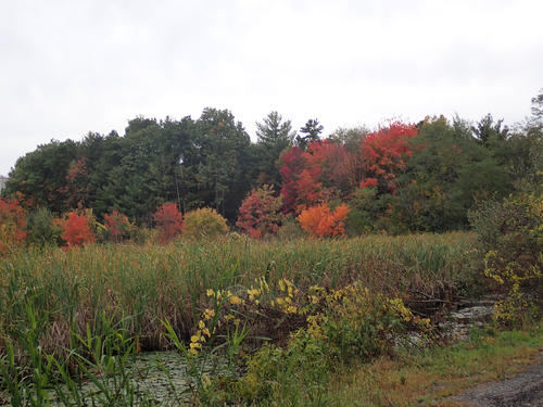 Ayer Massachusetts fall colors
