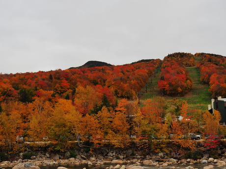 Fall colors at Loon Mountain #3