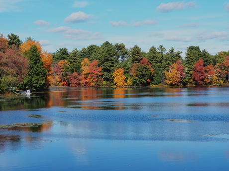 Ayer Massachusetts fall colors #2