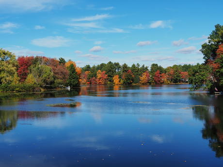 Ayer Massachusetts fall colors #3
