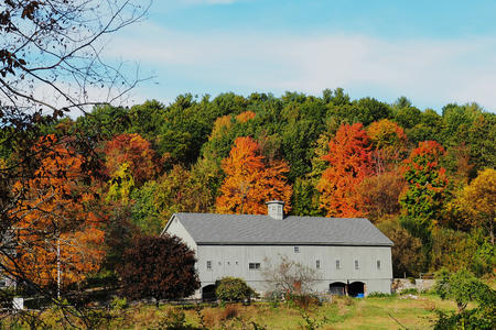Groton Massachusetts fall colors #4