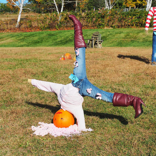 Springdell farms pumpkin decorating contest #2