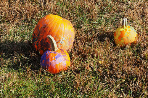 Springdell farms pumpkin decorating contest #8